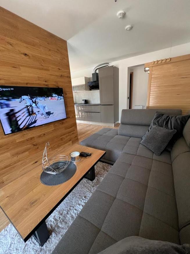 Luxusni Apartman Grand V Centru Harrachova Se Soukromou Mega Terasou, S Privatnim Parkovanim Zdarma, S Moznosti Dobijeni Wallbox Ev A Vyhledem Na Harrachovsky Kostelicek Buitenkant foto